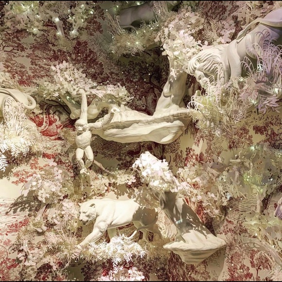 Meet your Posher, Sebastian - Picture 2 of 7